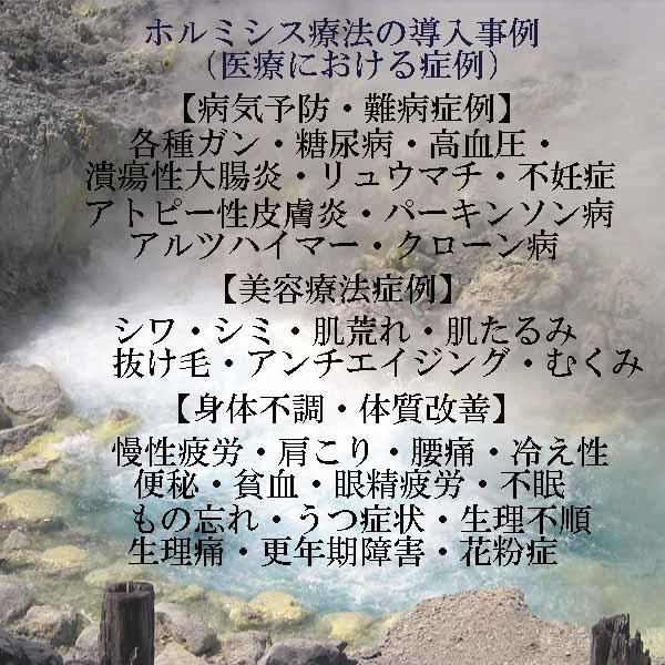 Hormesis Hotel cápsula Tokio